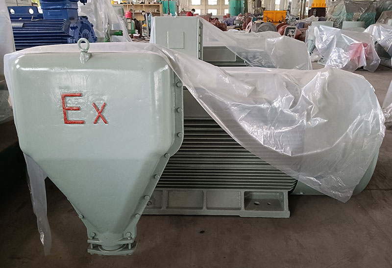 南洋高壓防爆電機(jī)圖片